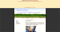 Desktop Screenshot of hurricanerosie.tripawds.com