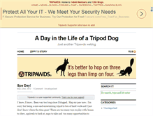 Tablet Screenshot of ameyer.tripawds.com