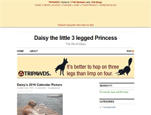 Tablet Screenshot of daisydogger.tripawds.com