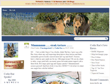 Tablet Screenshot of codierae.tripawds.com
